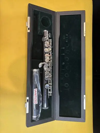 Pearl Flutes - PFP165E